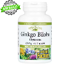 イチョウフィットソーム(60mg)60カプセル〔特許取得〕