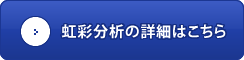 虹彩分析の詳細はこちら