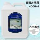 【新発売】デッドシー・ジェニュインウォーター4000ml《業務お得用サイズ》
