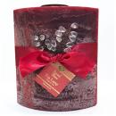 ヴィンテージ　ソイ・ナチュラルティーランプ【CABERNET　カベルネ】30%OFF